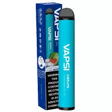 Review of disposable VAPSI NATURE 1200